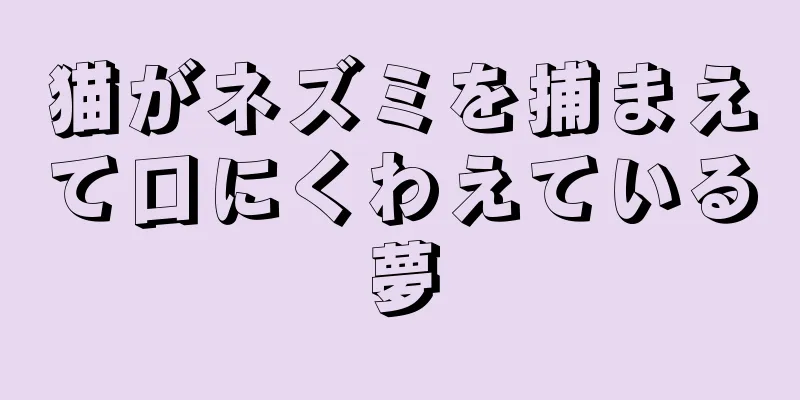 猫がネズミを捕まえて口にくわえている夢