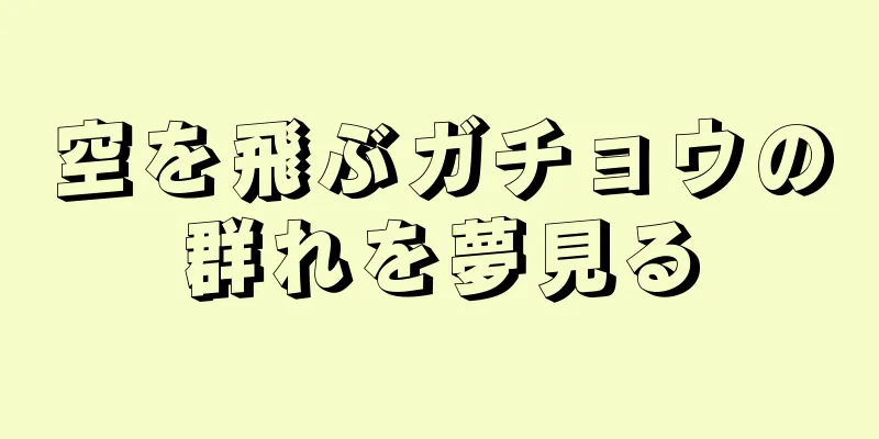 空を飛ぶガチョウの群れを夢見る