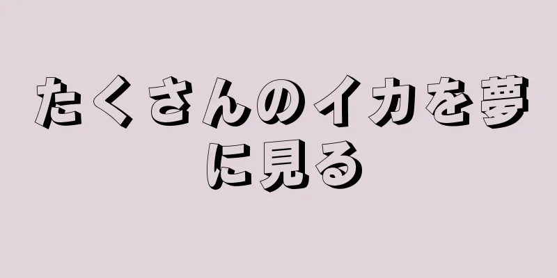 たくさんのイカを夢に見る