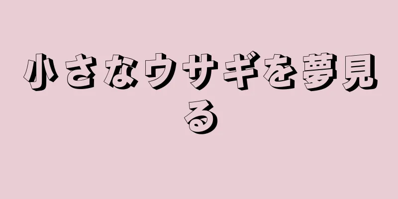 小さなウサギを夢見る