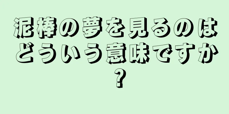 泥棒の夢を見るのはどういう意味ですか？