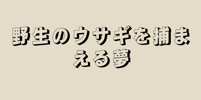 野生のウサギを捕まえる夢