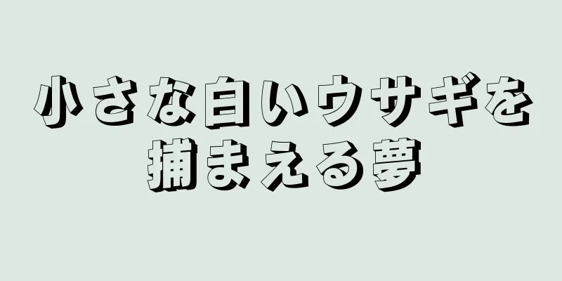 小さな白いウサギを捕まえる夢