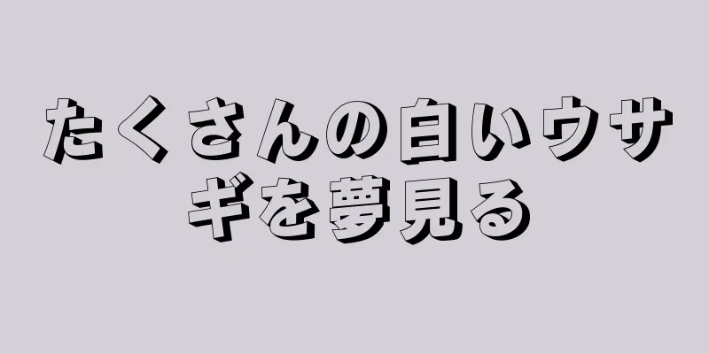 たくさんの白いウサギを夢見る