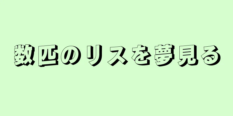 数匹のリスを夢見る