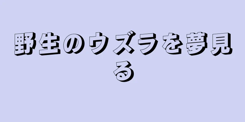 野生のウズラを夢見る