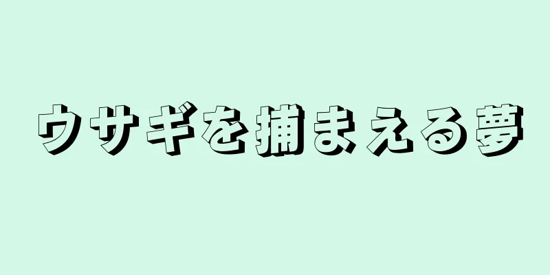ウサギを捕まえる夢