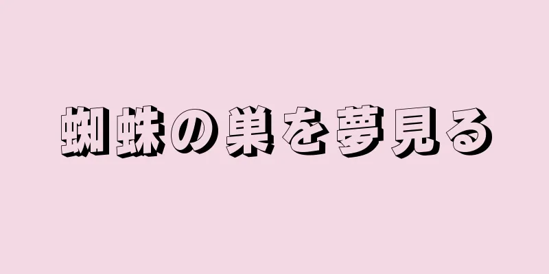 蜘蛛の巣を夢見る