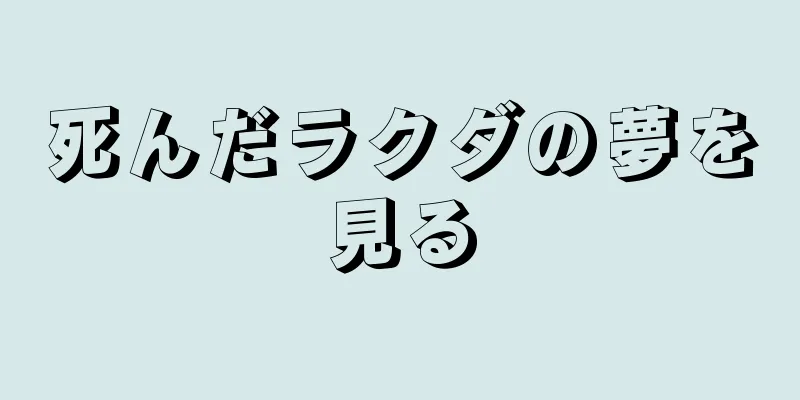 死んだラクダの夢を見る