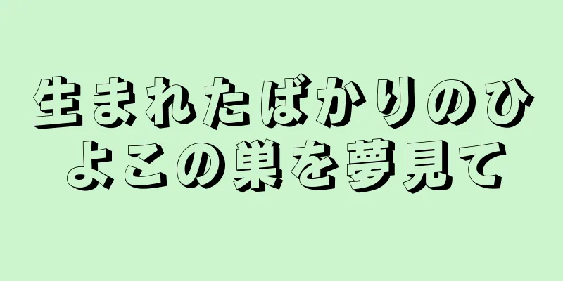 生まれたばかりのひよこの巣を夢見て