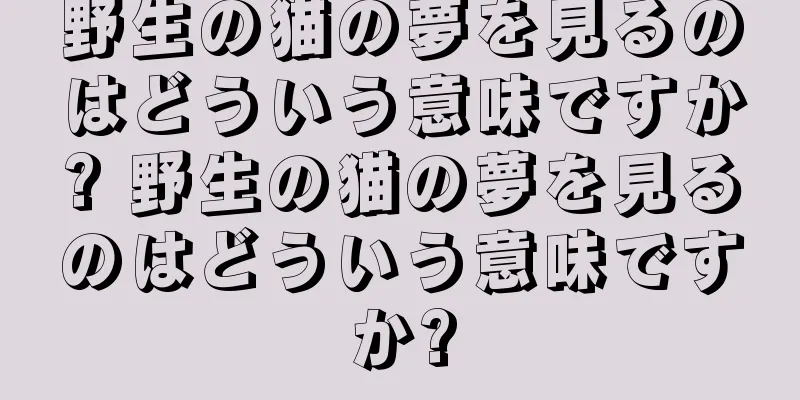 野生の猫の夢を見るのはどういう意味ですか? 野生の猫の夢を見るのはどういう意味ですか?