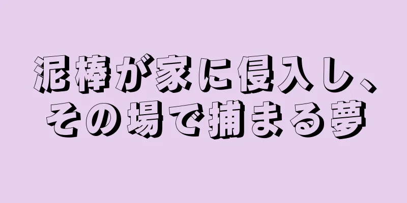 泥棒が家に侵入し、その場で捕まる夢