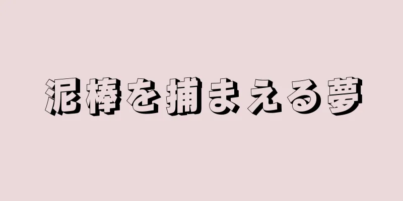 泥棒を捕まえる夢