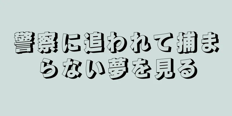 警察に追われて捕まらない夢を見る