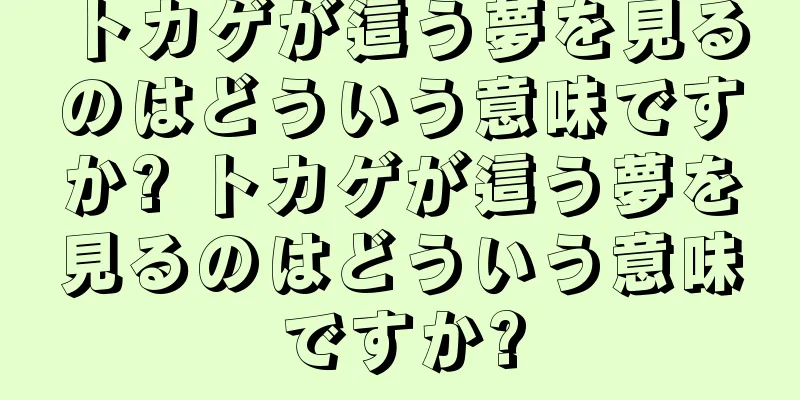 トカゲが這う夢を見るのはどういう意味ですか? トカゲが這う夢を見るのはどういう意味ですか?