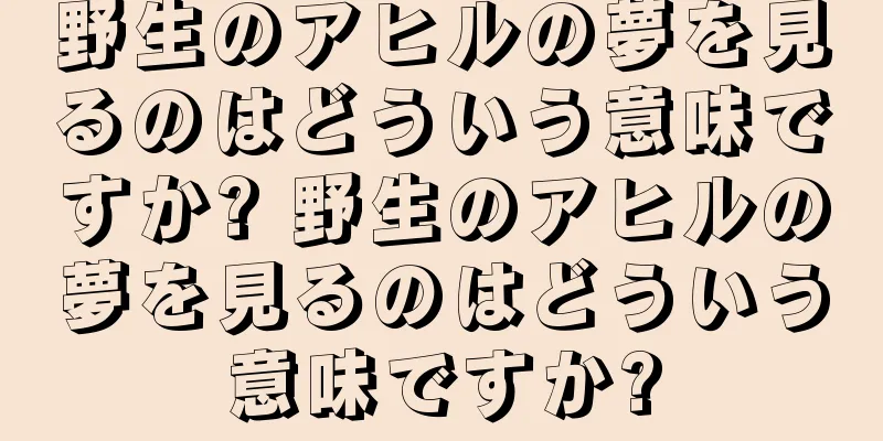野生のアヒルの夢を見るのはどういう意味ですか? 野生のアヒルの夢を見るのはどういう意味ですか?