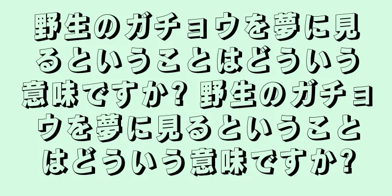 野生のガチョウを夢に見るということはどういう意味ですか? 野生のガチョウを夢に見るということはどういう意味ですか?