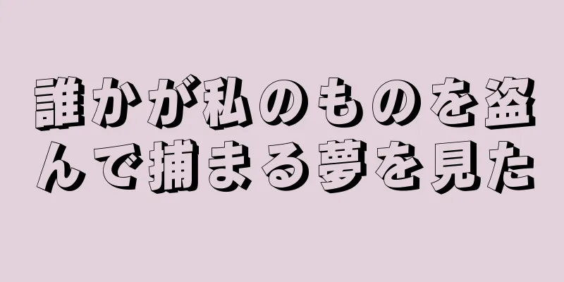 誰かが私のものを盗んで捕まる夢を見た
