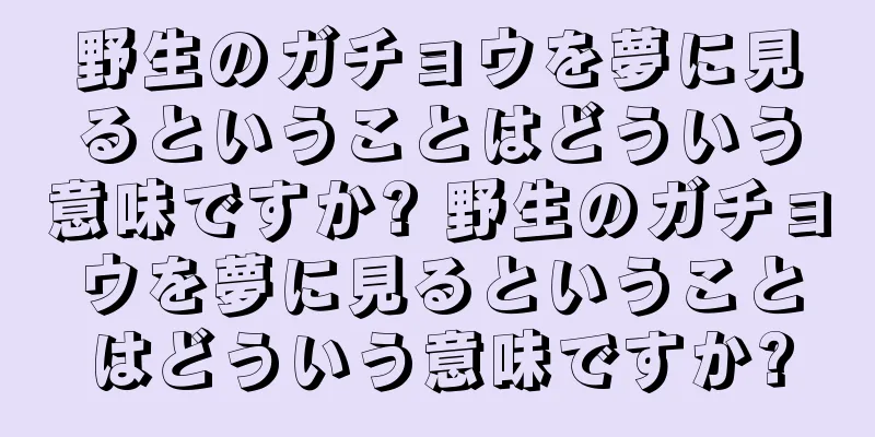 野生のガチョウを夢に見るということはどういう意味ですか? 野生のガチョウを夢に見るということはどういう意味ですか?
