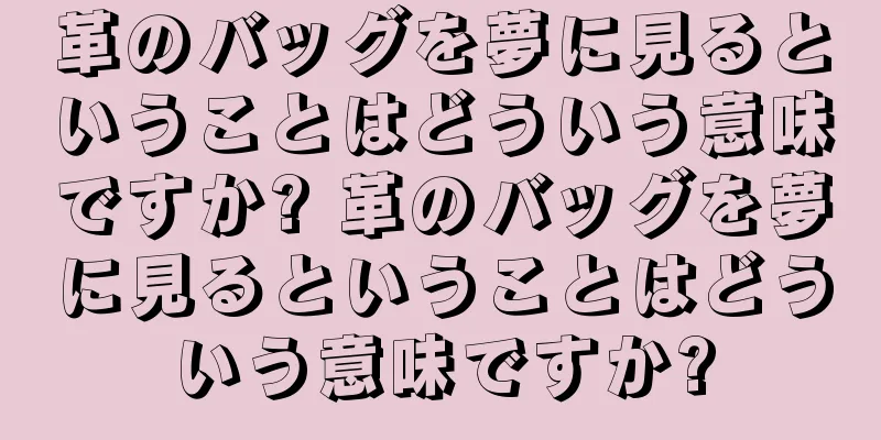 革のバッグを夢に見るということはどういう意味ですか? 革のバッグを夢に見るということはどういう意味ですか?