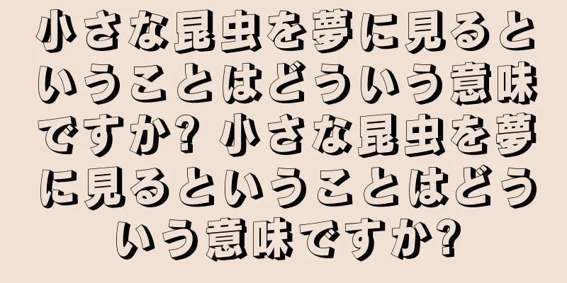 小さな昆虫を夢に見るということはどういう意味ですか? 小さな昆虫を夢に見るということはどういう意味ですか?