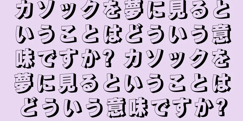 カソックを夢に見るということはどういう意味ですか? カソックを夢に見るということはどういう意味ですか?