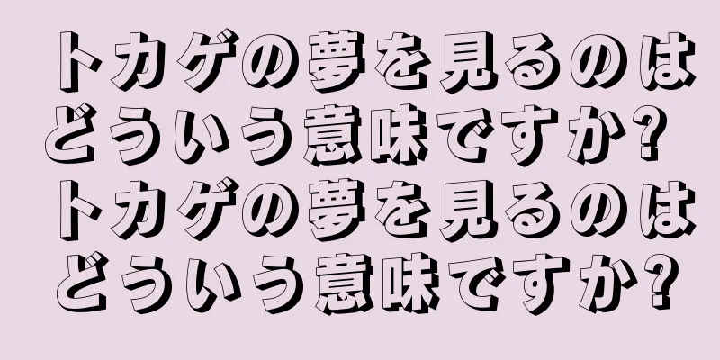 トカゲの夢を見るのはどういう意味ですか? トカゲの夢を見るのはどういう意味ですか?