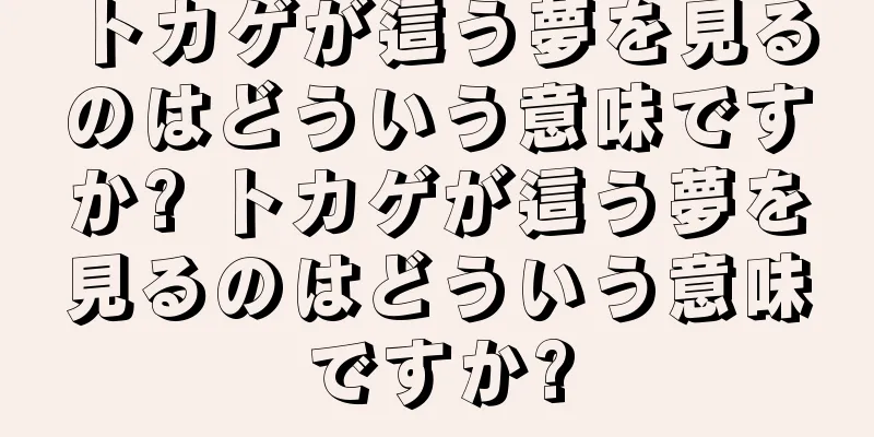 トカゲが這う夢を見るのはどういう意味ですか? トカゲが這う夢を見るのはどういう意味ですか?