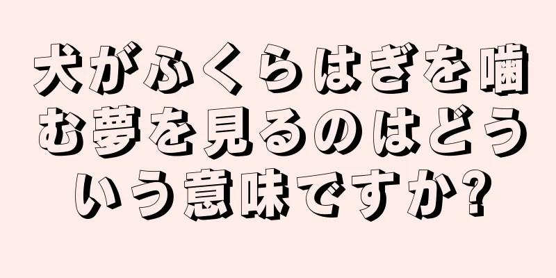 犬がふくらはぎを噛む夢を見るのはどういう意味ですか?