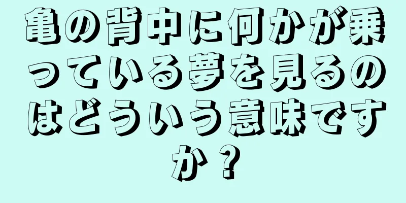 亀の背中に何かが乗っている夢を見るのはどういう意味ですか？