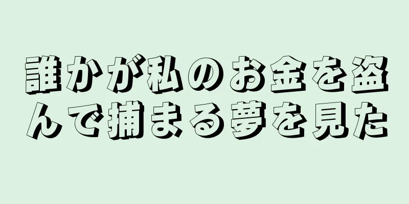誰かが私のお金を盗んで捕まる夢を見た