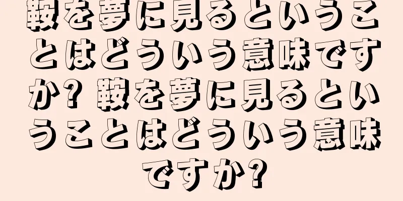 鞍を夢に見るということはどういう意味ですか? 鞍を夢に見るということはどういう意味ですか?