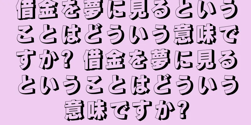 借金を夢に見るということはどういう意味ですか? 借金を夢に見るということはどういう意味ですか?