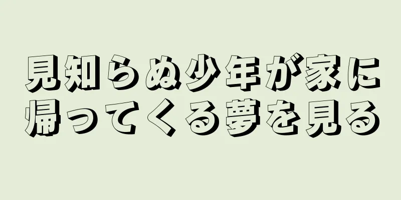 見知らぬ少年が家に帰ってくる夢を見る