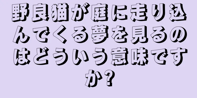 野良猫が庭に走り込んでくる夢を見るのはどういう意味ですか?