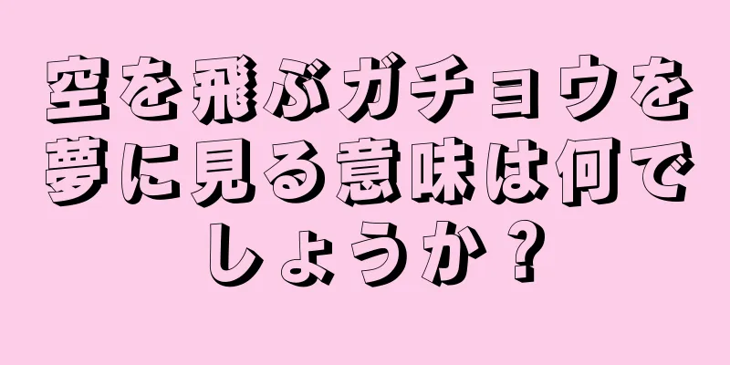 空を飛ぶガチョウを夢に見る意味は何でしょうか？