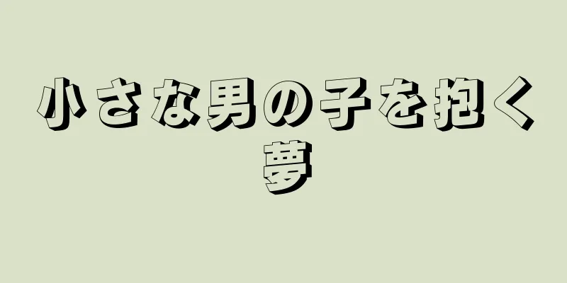 小さな男の子を抱く夢