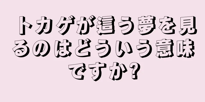 トカゲが這う夢を見るのはどういう意味ですか?