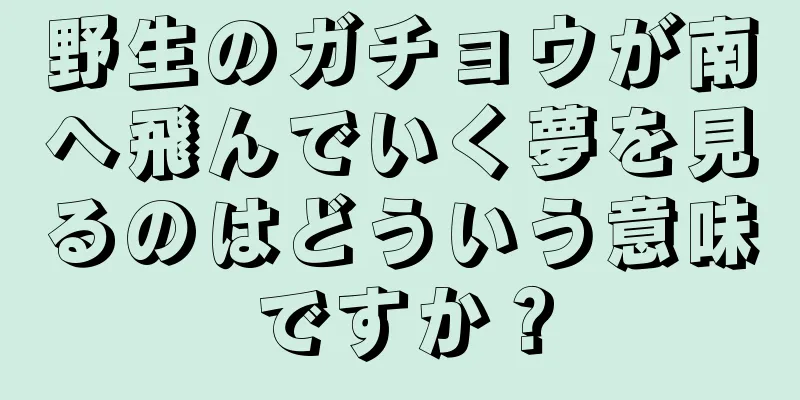 野生のガチョウが南へ飛んでいく夢を見るのはどういう意味ですか？