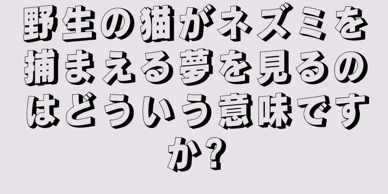 野生の猫がネズミを捕まえる夢を見るのはどういう意味ですか?