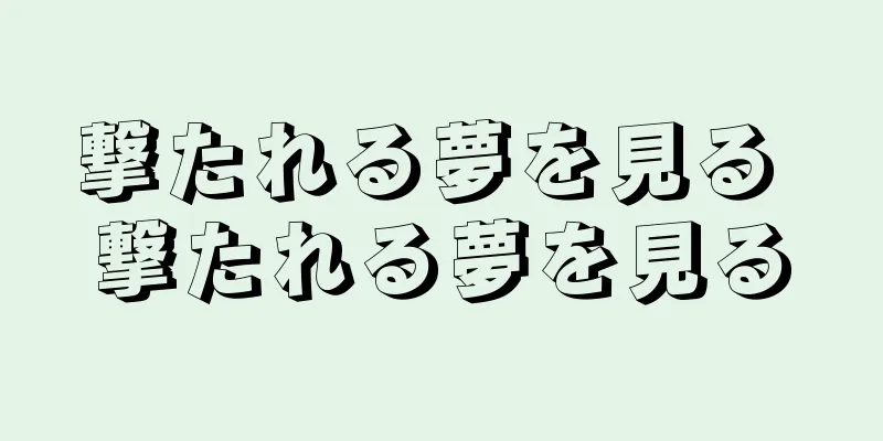 撃たれる夢を見る 撃たれる夢を見る