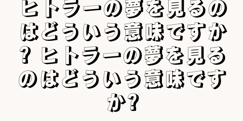 ヒトラーの夢を見るのはどういう意味ですか? ヒトラーの夢を見るのはどういう意味ですか?