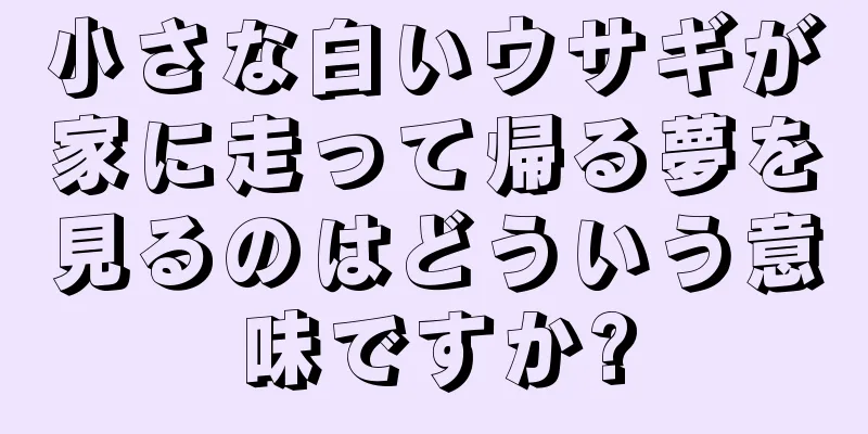 小さな白いウサギが家に走って帰る夢を見るのはどういう意味ですか?
