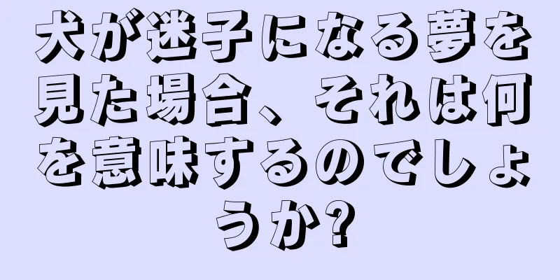 犬が迷子になる夢を見た場合、それは何を意味するのでしょうか?