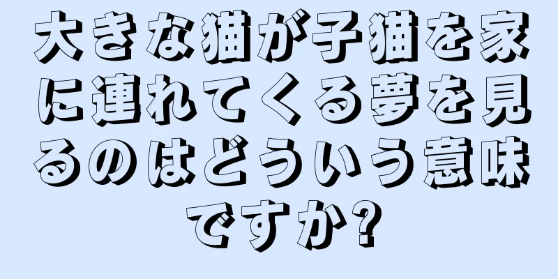 大きな猫が子猫を家に連れてくる夢を見るのはどういう意味ですか?