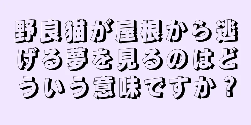 野良猫が屋根から逃げる夢を見るのはどういう意味ですか？