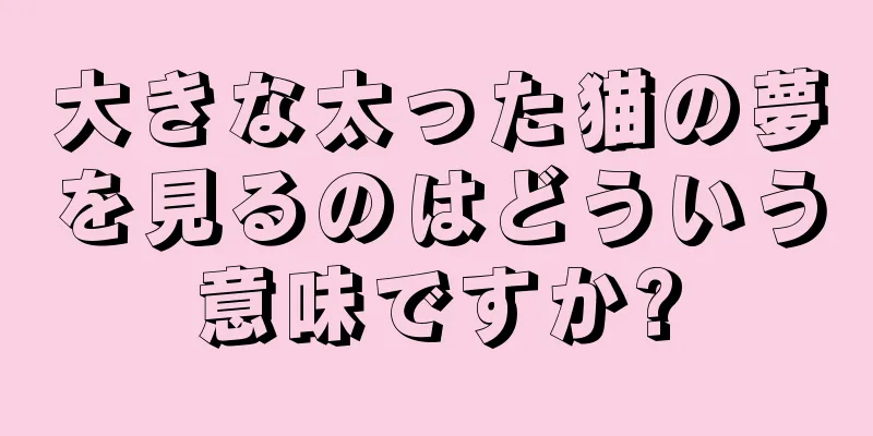 大きな太った猫の夢を見るのはどういう意味ですか?
