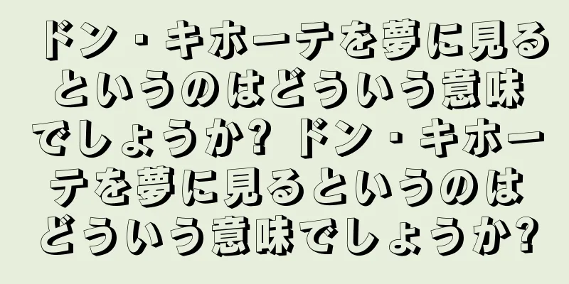 ドン・キホーテを夢に見るというのはどういう意味でしょうか? ドン・キホーテを夢に見るというのはどういう意味でしょうか?