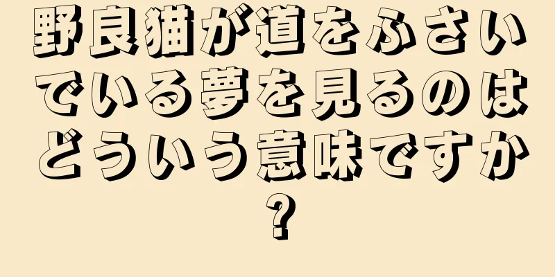 野良猫が道をふさいでいる夢を見るのはどういう意味ですか?