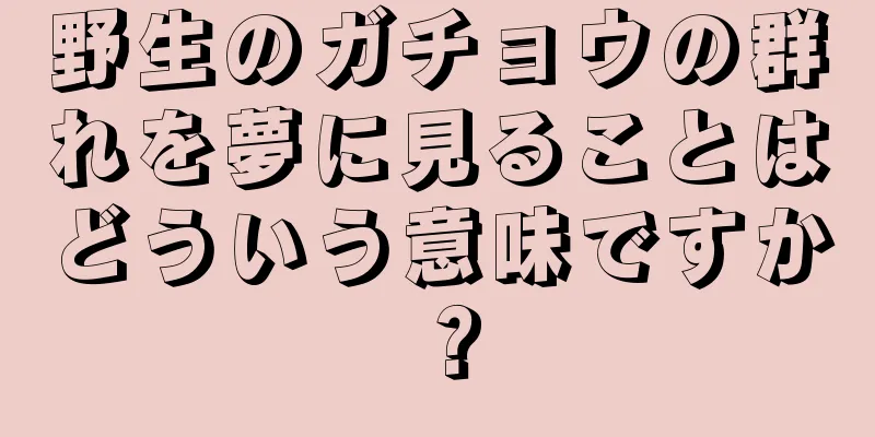 野生のガチョウの群れを夢に見ることはどういう意味ですか？